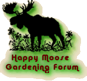 Visit the Happy Moose Gardening Forum